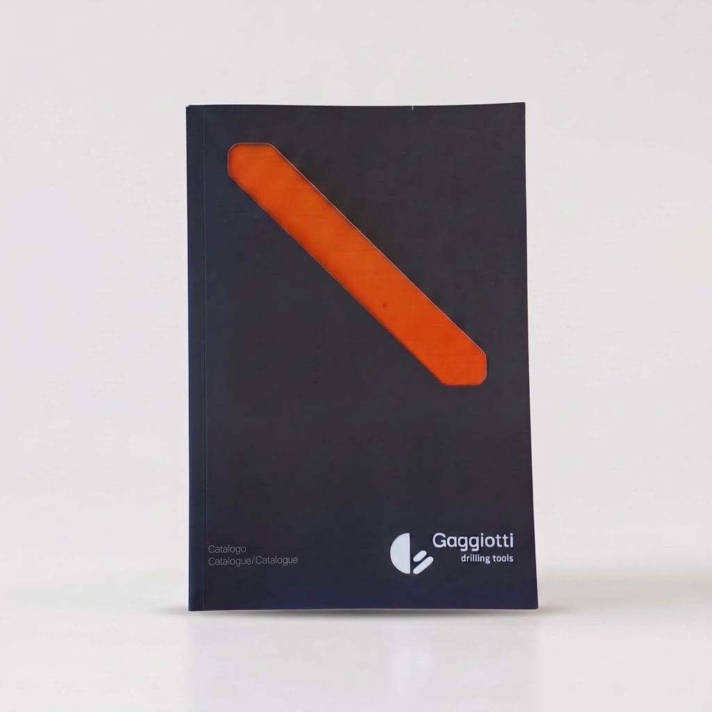 Progetto Flamini